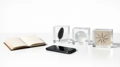 10 “ugly” animals that are actually evolutionary masterpieces