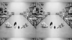 9 animals that start with V and the surprising facts you’ll remember