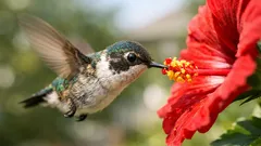 The world’s smallest animals, ranked by weight and length