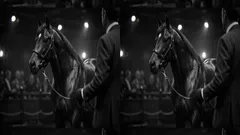 The 7 most expensive horses ever sold and what made them worth millions