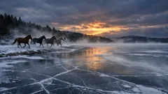 Can a lake flash freeze fast enough to trap animals? The science behind the frozen horses story