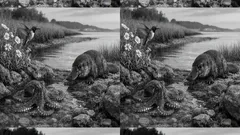 15 weird animal facts you’ll want to tell everyone