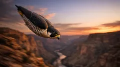 What is the fastest animal in the world? The clear winners on land, in the air, and in the sea