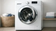 Where do missing socks go? The 3 real places they disappear in your laundry