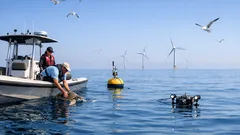 10 marine biology breakthroughs that are changing what we know about the ocean