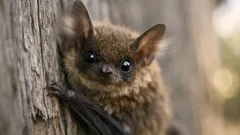 10 animal idioms you say all the time that aren’t actually true