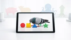 5 animals that are way smarter than we give them credit for