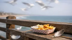 What a group of seagulls is called (and when to say flock vs. colony)