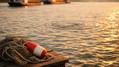 Meet the Yangtze finless porpoise, the world’s only freshwater porpoise