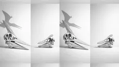 Pteranodon vs pterodactyl: how to tell these flying reptiles apart