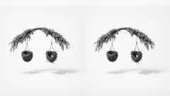 Why the Sumatran orangutan is critically endangered and what actually helps